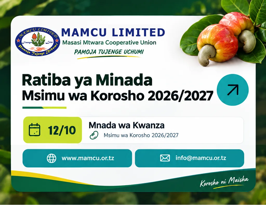NEW CASHEW SEASON 2026/2027